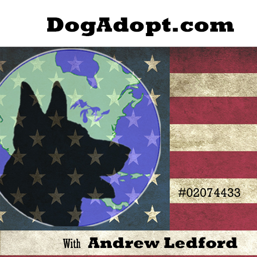 Dog Adopt logo